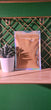 Turkey Rhubarb Root Powder